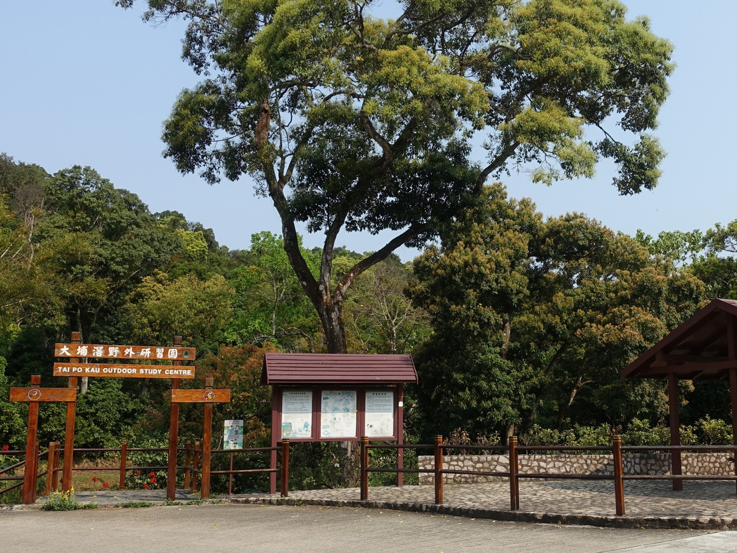 Photo of Tai Po Kau Nature Reserve Outdoor Study Centre