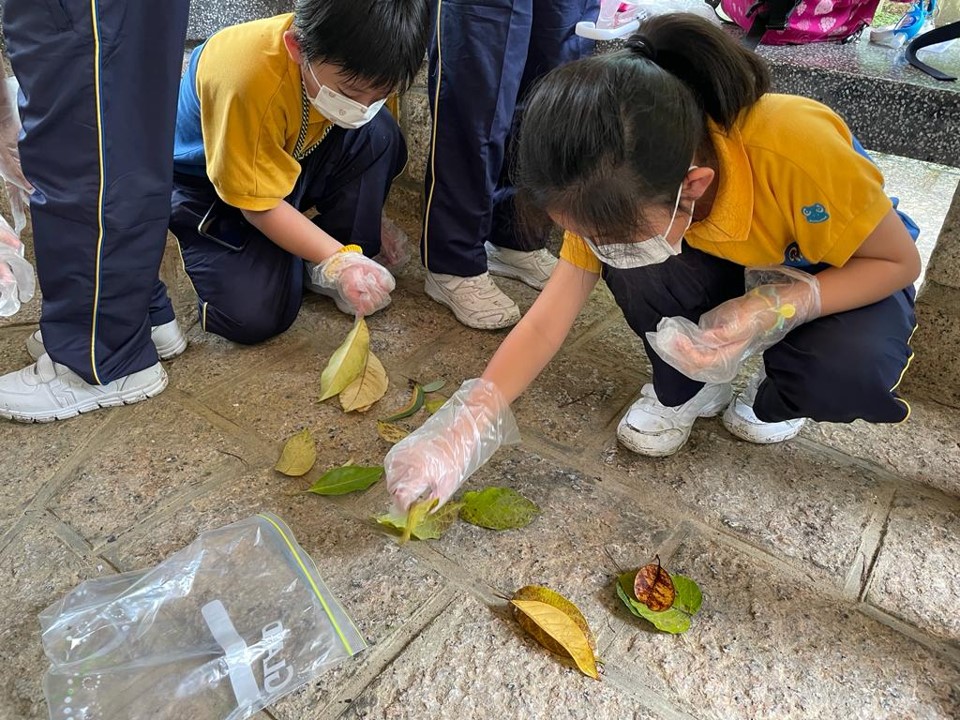 Photo of Hong Kong Biodiversity