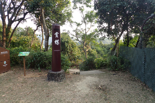 Shing Mun Country Park Photo