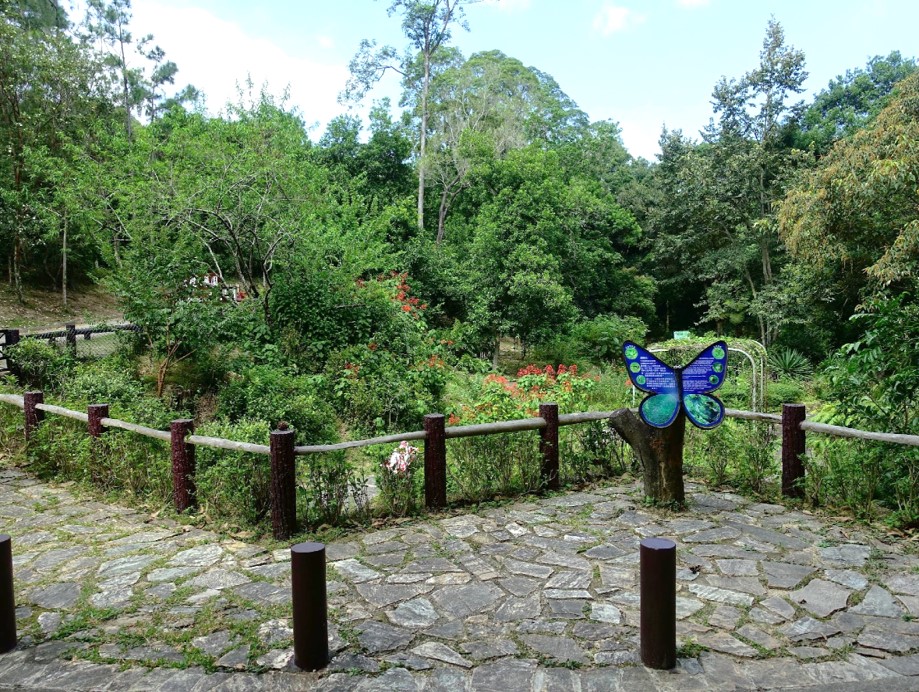 Photo of Tai Lam Country Park Ecological Garden