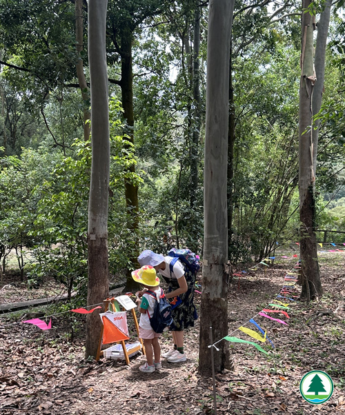 Photo of WOD carnival - String Orienteering