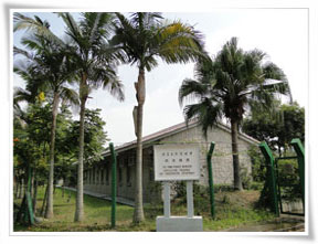 Tai Tong Nursery